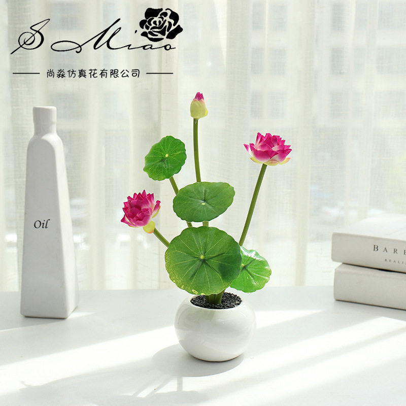 严选荷花小盆景厂家直供