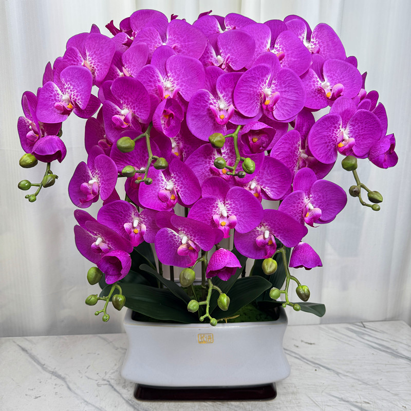蝴蝶兰仿真花客厅高档花过胶手感保湿花室内桌面摆假花蝴蝶兰盆栽