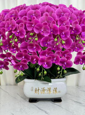 高端仿真蝴蝶兰花湿感仿真花家居