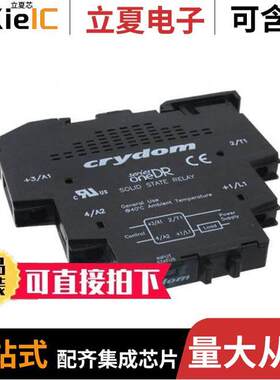 DR10D06继电器 〔SSR RELAY SPST-NO 6A 1-100V 〕