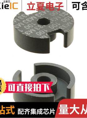 B65541T0100A033  TDK Corporation