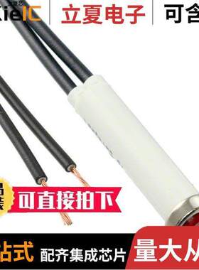 36EN-2311光电元件 〔RED NEON 125 VOLTS 〕