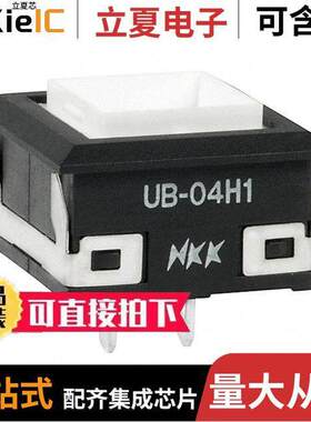 UB04KW015D光电元件 〔INDICATOR SQ BLK HSNG AMBER LED 〕