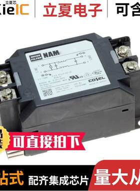 NAM-20-331滤波器 〔LINE FILTER 250VDC/VAC 20A CHAS 〕