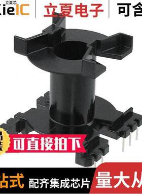 CSV-PQ40/40-1S-12P  Ferroxcube