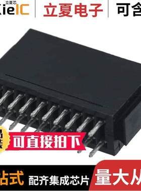 5-650297-1连接器 〔CONN EDGE DUAL FMALE 20POS 0.100 〕