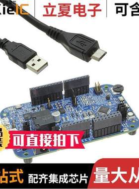 DEVKIT-S12VRP开发板 〔S12VRP EVAL BRD 〕