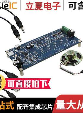 TOOLSTI【CLASSD开发板 〔BOARD CLASS D AUDIO 〕