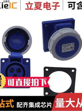 F31S25A连接器 〔RECPF20A2P3W6H250V BLUEIP67PANEL 〕