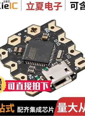 DFR0282开发板 〔BEETLE ATMEGA32U4 EVAL BRD 〕