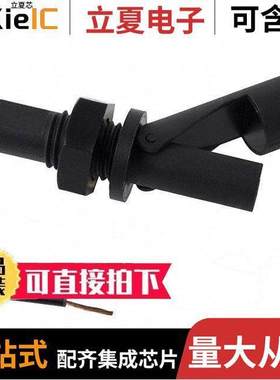 RSF83Y100R传感器，变送器 〔FLOATSWITCH HORZ .6A NYLON 〕