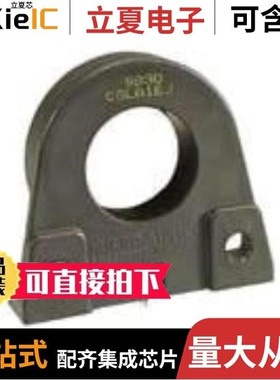 CSLA2GE/CSLA2DJI/CSLT6B100