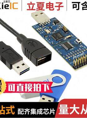 AT97SC3205T-SDK2开发板 〔DEMO KIT FOR 97SC3204 〕