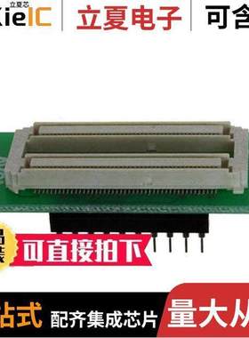 ATADAPT2313开发板 〔ADAPTER PERSON ICE50 TINY2313 〕