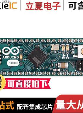 A000093开发板 〔ARDUINO MICRO W/OUT HDRS ATMEGA3 〕