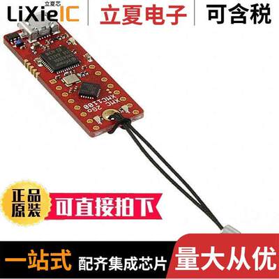 KITXMC2GOXMC1100V1TOBO1开发板 〔XMC 2GO XMC1100 EVAL BRD 〕