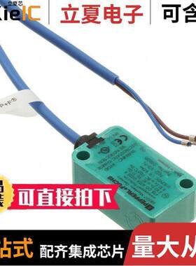 NJ2-V3-N传感器，变送器 〔INDUCTIVE SEN 2MM NAMUR 〕
