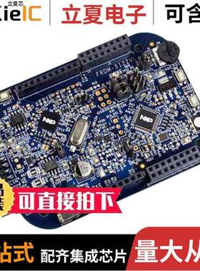 DEVKIT-ZVL128开发板 〔S12ZVLA128 EVAL BRD 〕