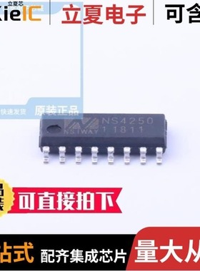 NS4251/NS4250/NS4263