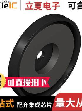 SMBFLXMAGD传感器，变送器 〔MAGNETIC MOUNT KIT 3.2