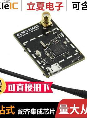 SLWRB4505B射频 〔EZR32WG 490 MHZ 20 DBM RADIO BOA 〕