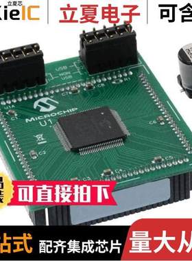 MA330025-1开发板 〔MODULE PLUG-IN DSPIC33E 100TQFP 〕