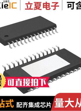 LMP90100MHE/NOPB芯片 〔IC AFE 1 CHAN 24BIT 28HTSSOP 〕