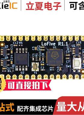 LOFIVE-R1开发板 〔SIFIVE FE310-G002 RISC-V DEV 〕