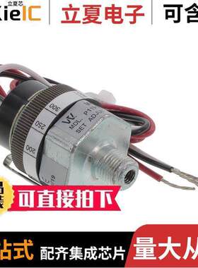 P119G-50H-C12L-DIS  Whitman Controls, LLC