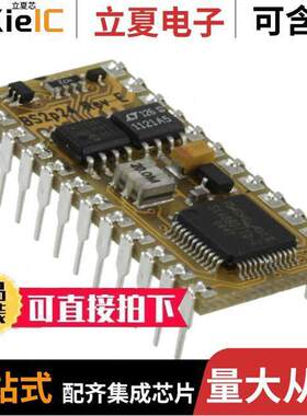 BS2P24芯片 〔IC MODULE SX48AC 20MHZ 38B 16KB 〕