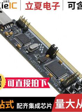 TRK-USB-MPC5602P开发板 〔STARTERTRAK SPC5602P EVAL BRD 〕