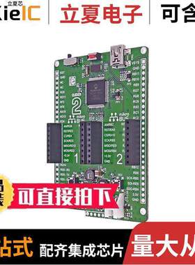 MIKROE-2547开发板 〔CLI【ER 2 PIC24FJ1024GB610 EVAL 〕