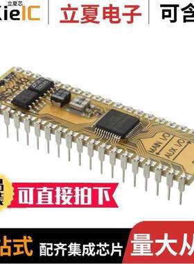 BS2P40芯片 〔IC MODULE SX48AC 20MHZ 38B 16KB 〕