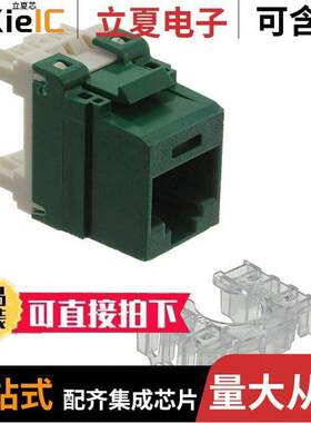 NK688MGR-Q连接器 〔INSERT RJ45 JA【 TO IDC CONN 〕