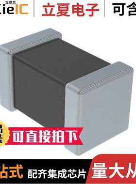 T59EE226M063C0100电容 〔SURFACE MOUNT CHIP CAP 〕