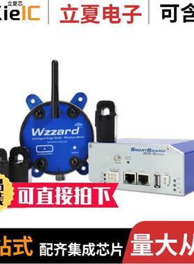 BB-WSK-NRG-1射频 〔WZZARD ENERGYMONITOR STARTER KIT 〕