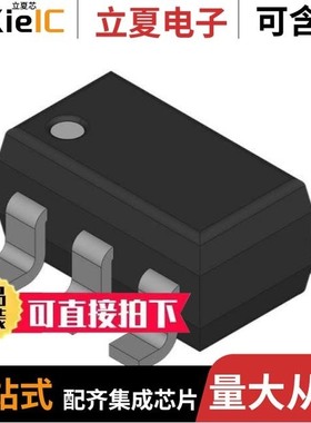 MAX516ACNG/MAX516ACWG+/MAX516BCNG