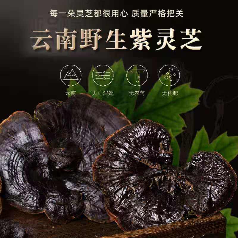 云南野生紫灵芝纯野生整枝黑灵芝可切片打粉泡酒250g林芝粉买3送1