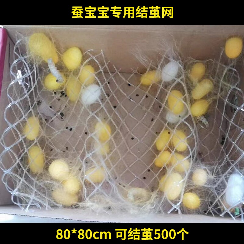 蚕宝宝吐丝结茧网养蚕专用工具大蚕专用结茧上蔟网重复利用网片