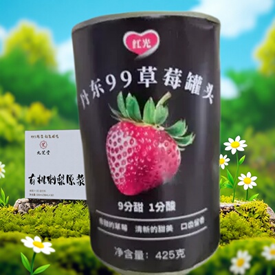 水果罐头红光丹东黑沟毛桃草莓