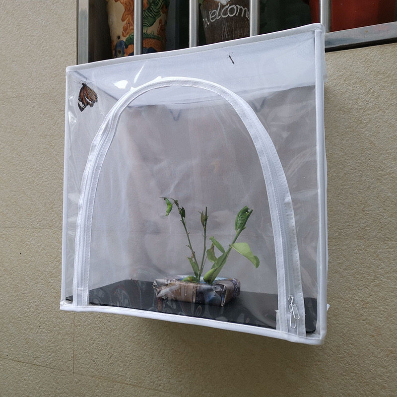 挂壁式昆虫观察笼子儿童网箱透明竹节虫螳螂蝴蜻蜓蝶捕捉孵化饲养