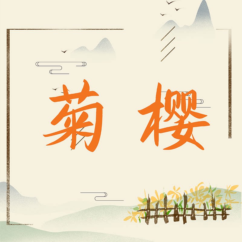 【粉丝专属】四味本草菊樱饮