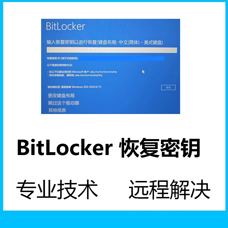 BitLocker恢复密钥蓝屏U盘硬盘锁密钥找回解密数据恢复解除密码