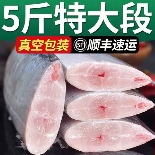 东海小眼油中号冷冻带鱼段整箱