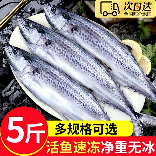 青岛海捕新鲜冷冻燕鲅鱼5斤5-6条