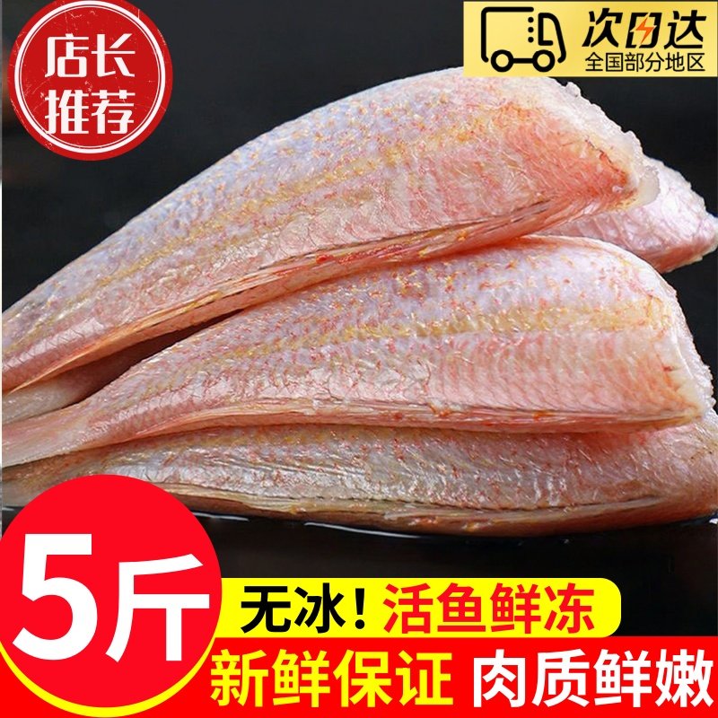 三去金线鱼新鲜冷冻海鱼金线鱼海产品海鲜鱼类红衫鱼海鱼顺丰包邮