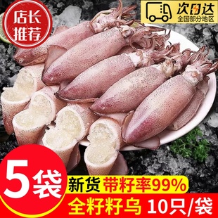海兔子籽乌满籽墨鱼仔新鲜海兔鲜活带籽笔管鱼鱿鱼海鲜大乌贼籽乌