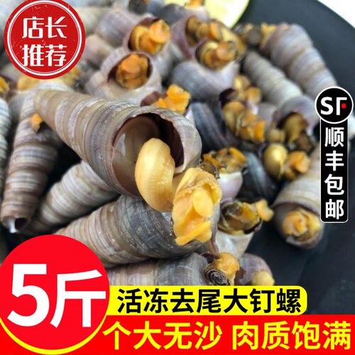 价格实惠鲜活去尾大号钉螺5斤