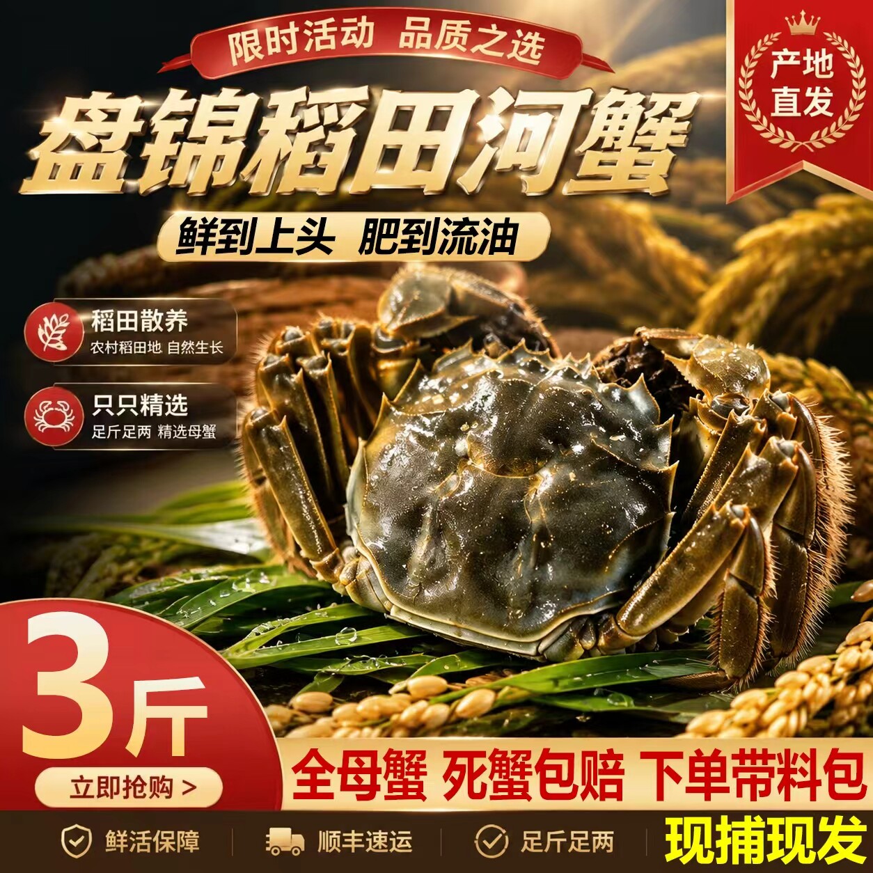 盘锦鲜活河蟹中秋礼盒