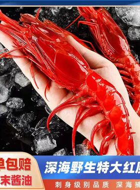 红魔虾鲜活超大刺身级低温甜虾生鲜速冻大虾生腌即食生吃海鲜顺丰